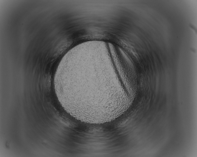 X0000091560206200709071135