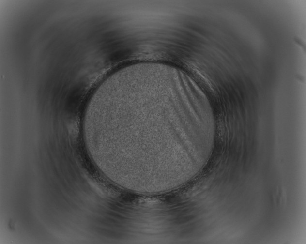 X0000091560208200709071135