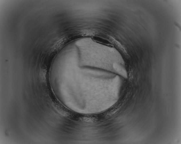 X0000091560209200709071135