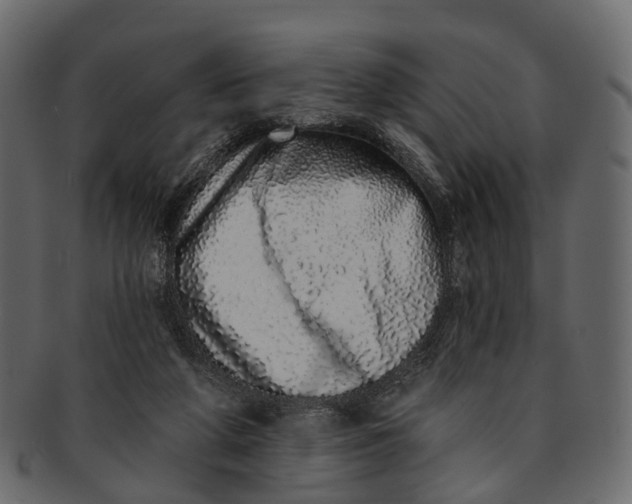 X0000091560210200709071135