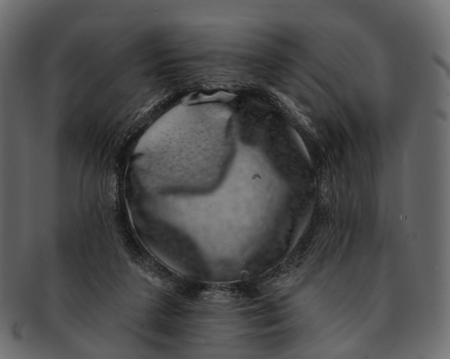 X0000091560211200709071135