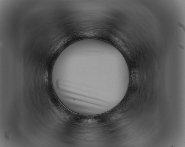 X0000091560212200709071135