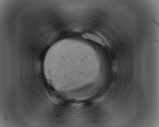 X0000091560213200709071135