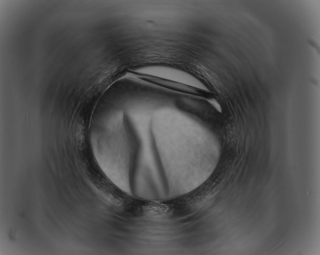 X0000091560215200709071135