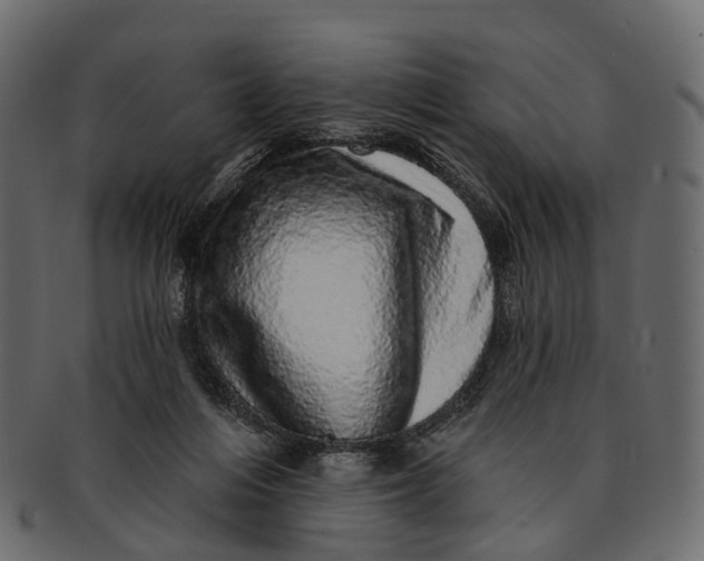 X0000091560216200709071135