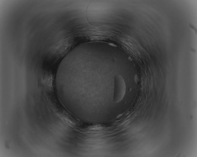 X0000091560219200709071135