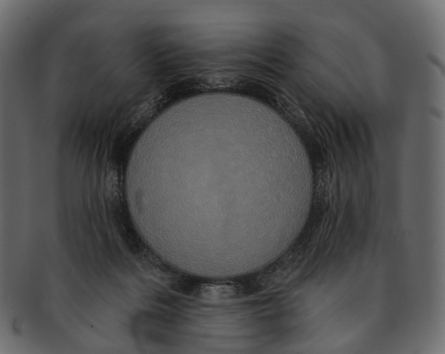 X0000091560220200709071135