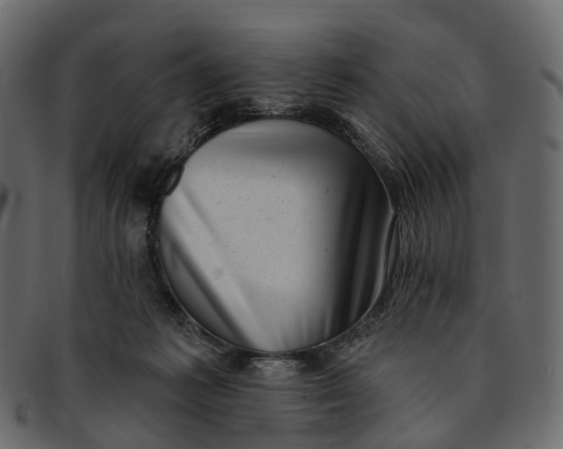 X0000091560221200709071135