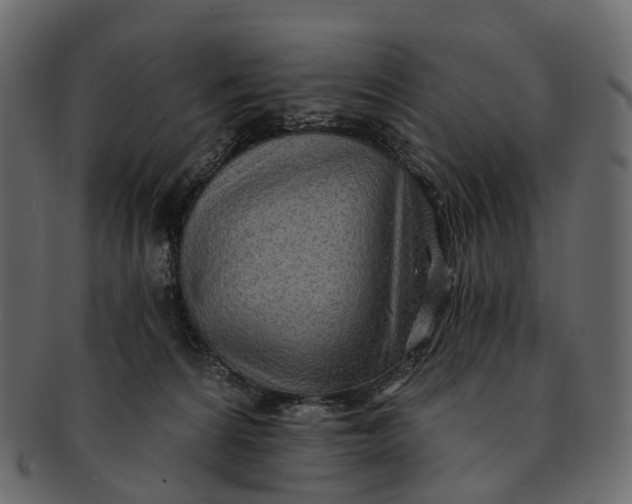 X0000091560224200709071135