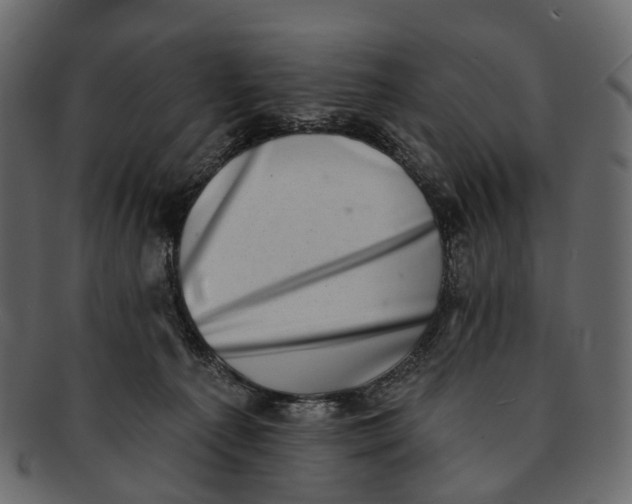 X0000091560225200709071135