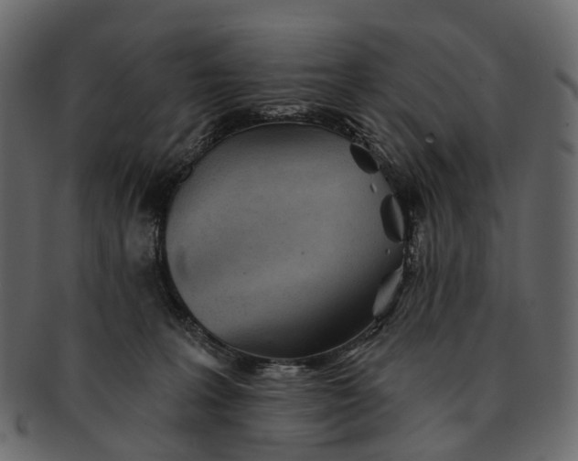 X0000091560227200709071134