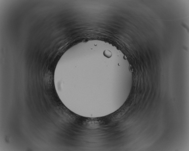 X0000091560228200709071134