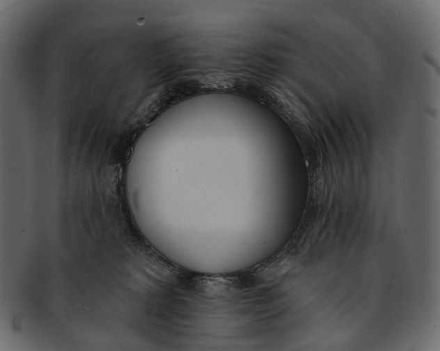 X0000091560229200709071134