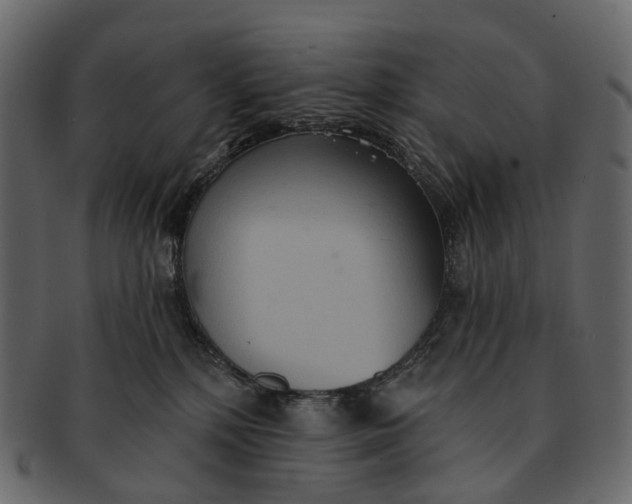 X0000091560232200709071134