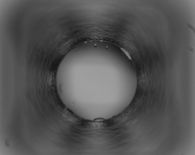 X0000091560233200709071134