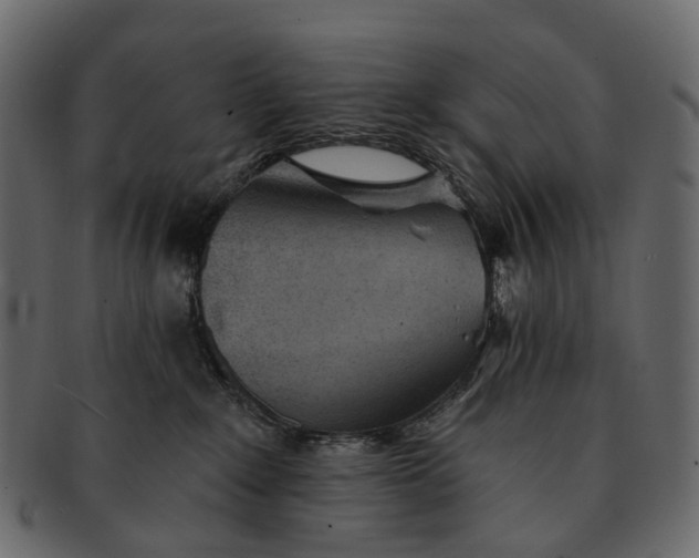 X0000091560235200709071134