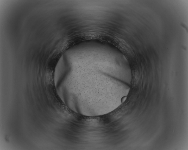 X0000091560236200709071134