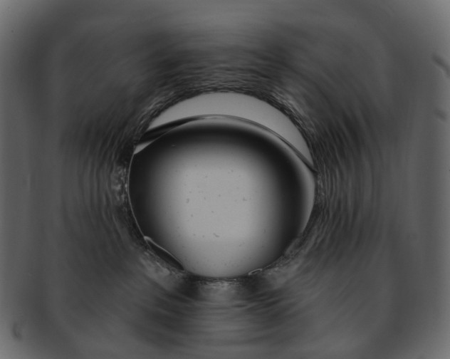 X0000091560237200709071134