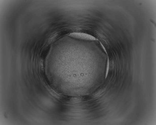 X0000091560238200709071134