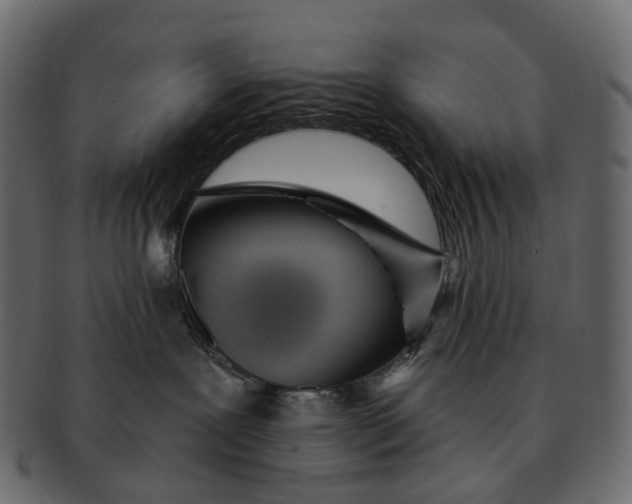 X0000091560239200709071134