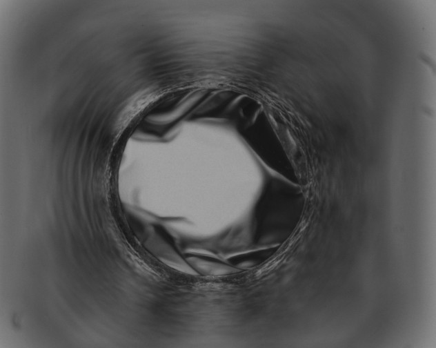 X0000091560242200709071134