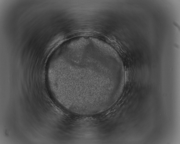 X0000091560243200709071134