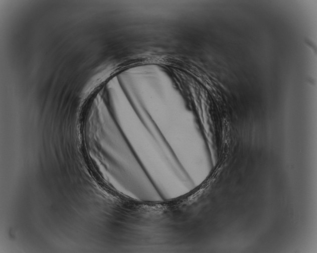 X0000091560245200709071134