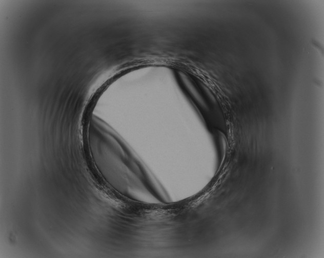 X0000091560246200709071134