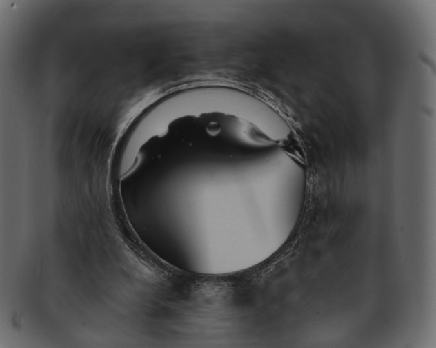 X0000091560248200709071134