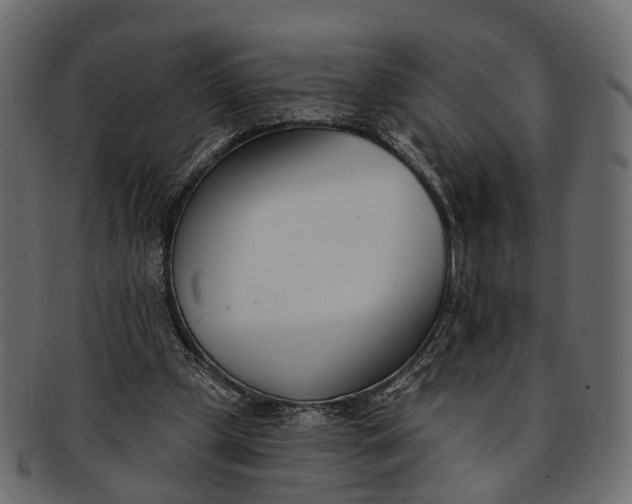 X0000091560249200709071134