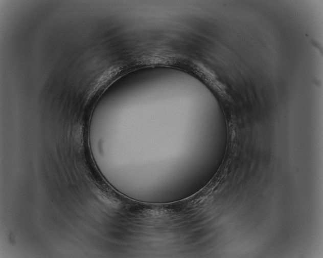 X0000091560250200709071134