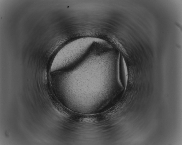 X0000091560251200709071134