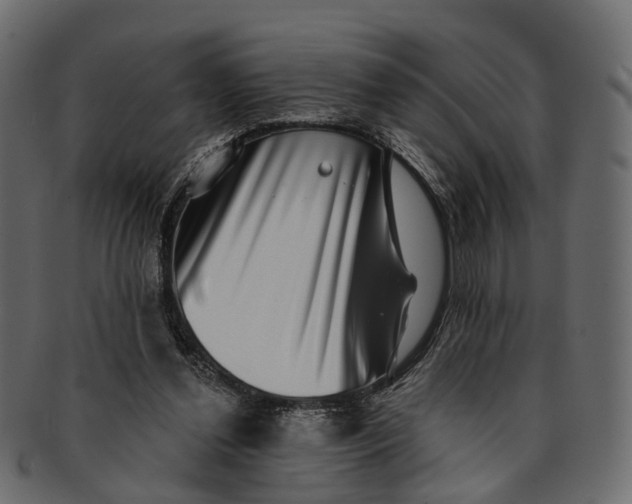 X0000091560252200709071134