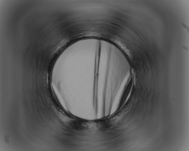 X0000091560253200709071134