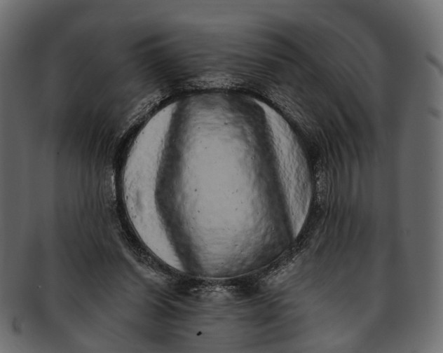 X0000091560254200709071134