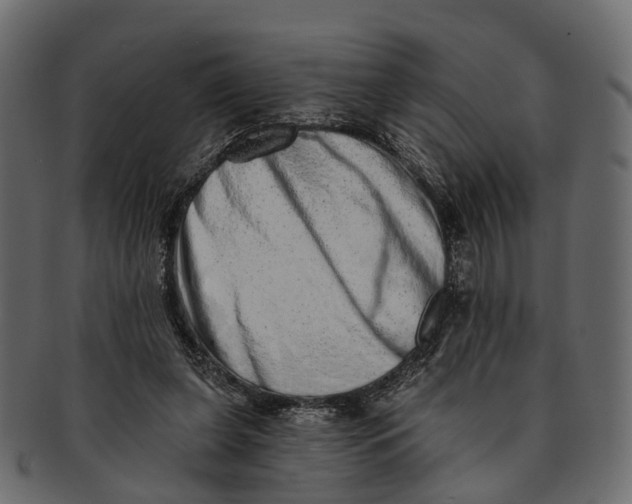 X0000091560255200709071134