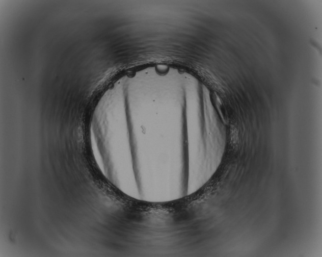 X0000091560256200709071134