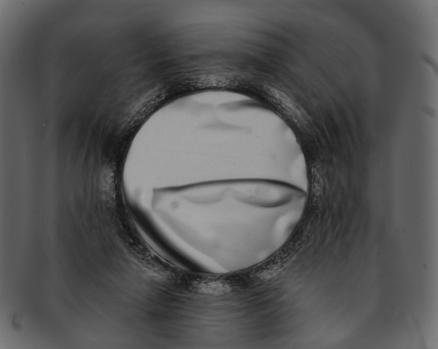 X0000091560258200709071134