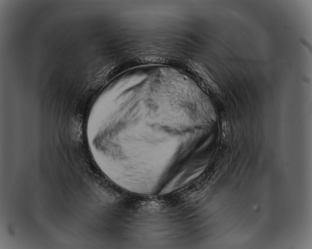 X0000091560259200709071134