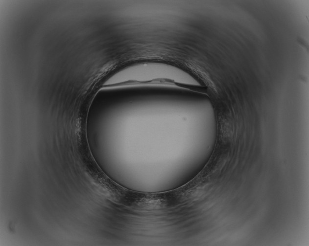 X0000091560260200709071134