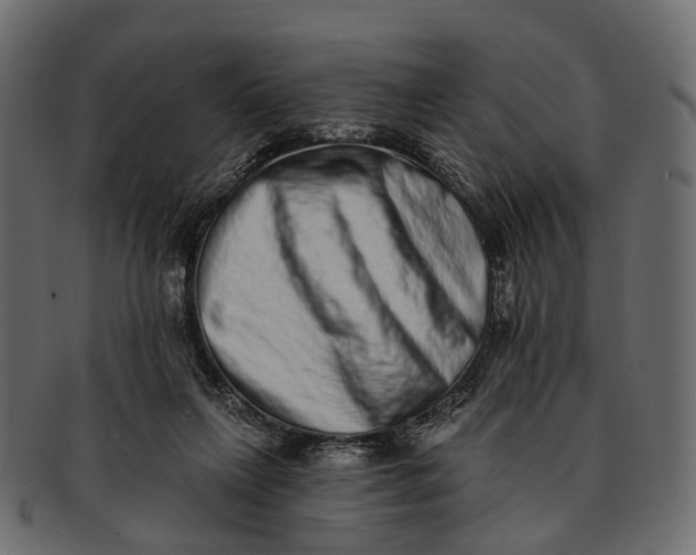 X0000091560263200709071134