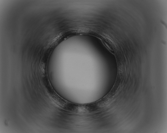 X0000091560264200709071134