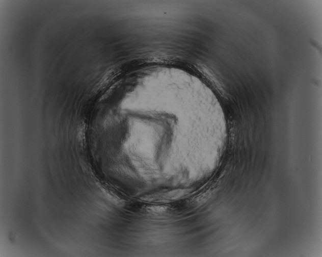 X0000091560265200709071134