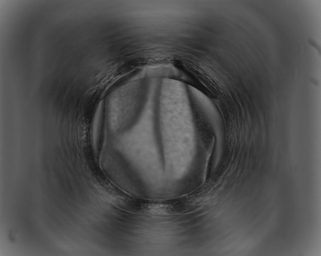 X0000091560268200709071134