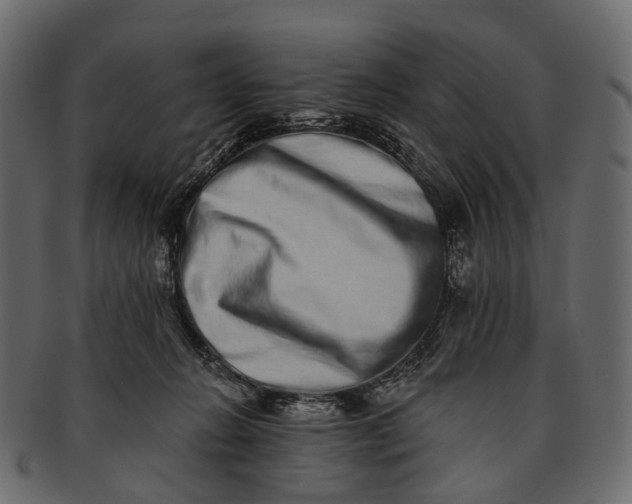 X0000091560270200709071134