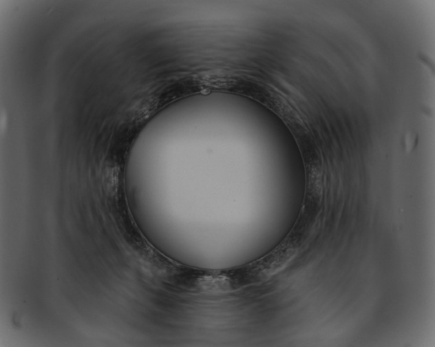 X0000091560271200709071134