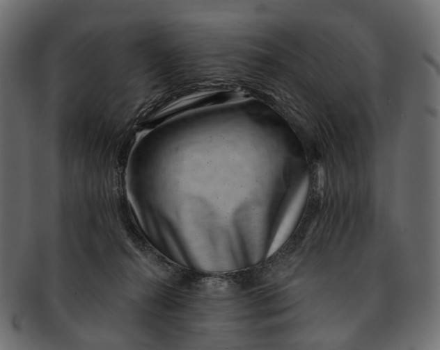 X0000091560272200709071134