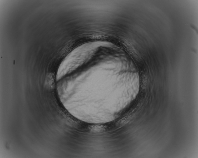 X0000091560273200709071134