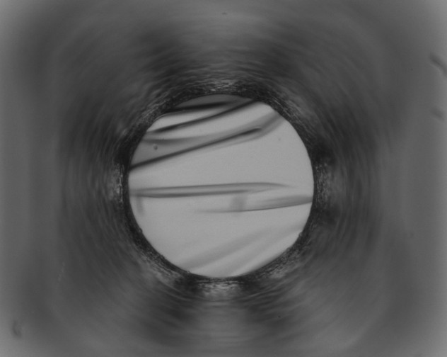 X0000091560274200709071134