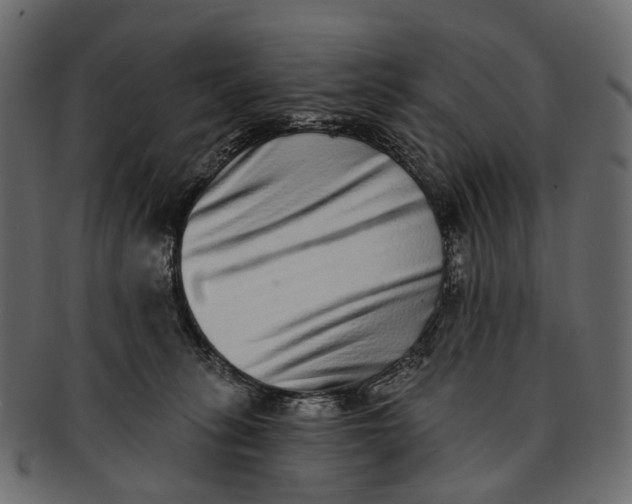 X0000091560275200709071134